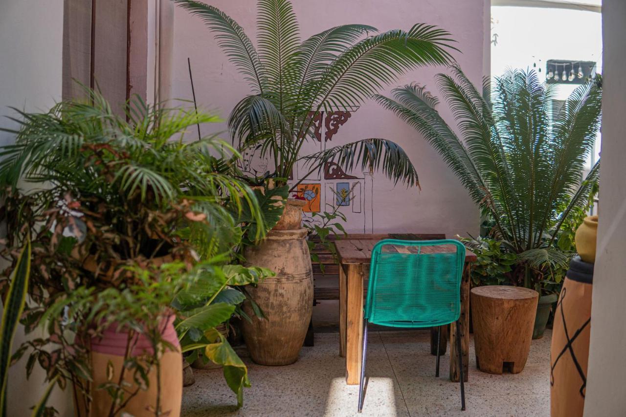 Tarawanda House -Thrivestawi Bed & Breakfast Zanzibar Bagian luar foto